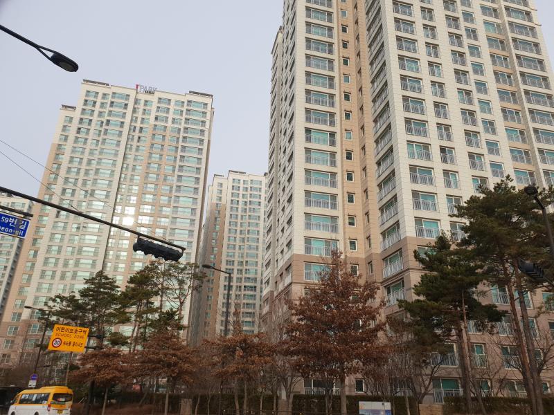 드림이