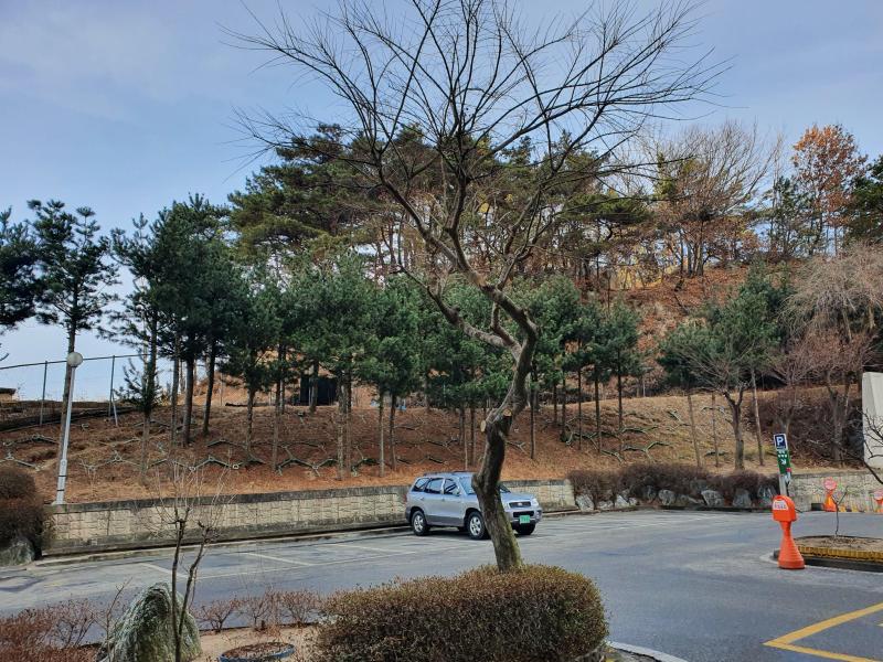 권동명