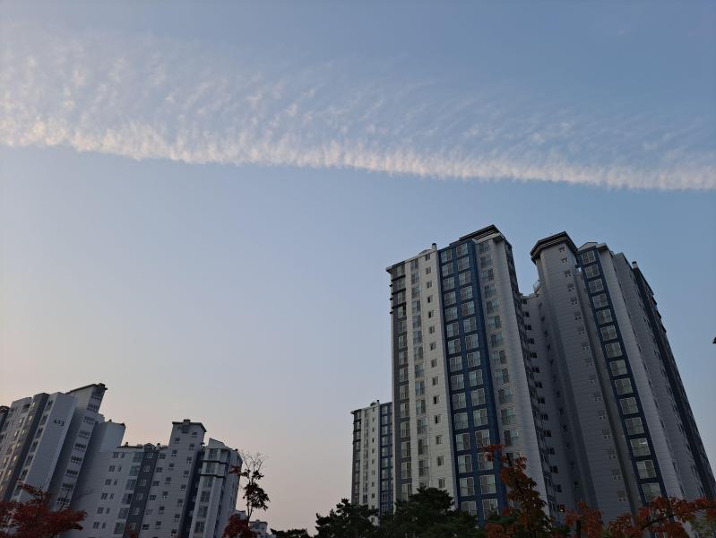 컨텐츠파일
