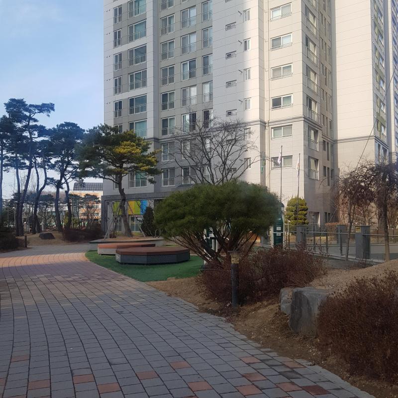 컨텐츠파일