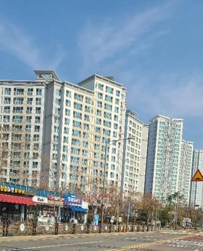 컨텐츠파일