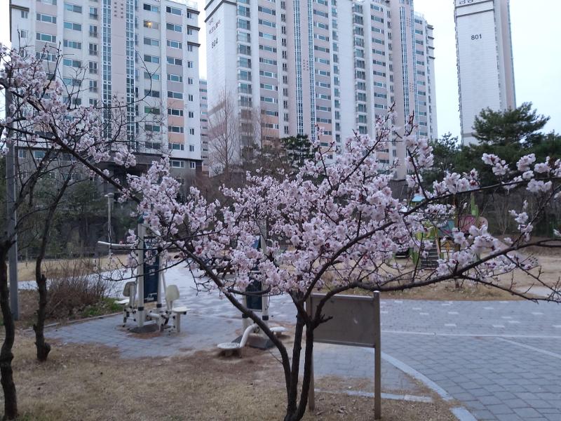 컨텐츠파일