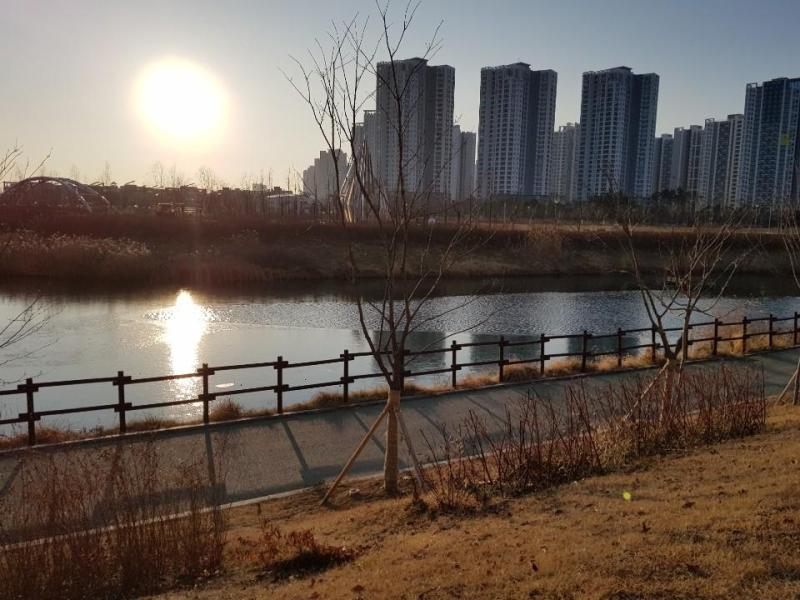 컨텐츠파일