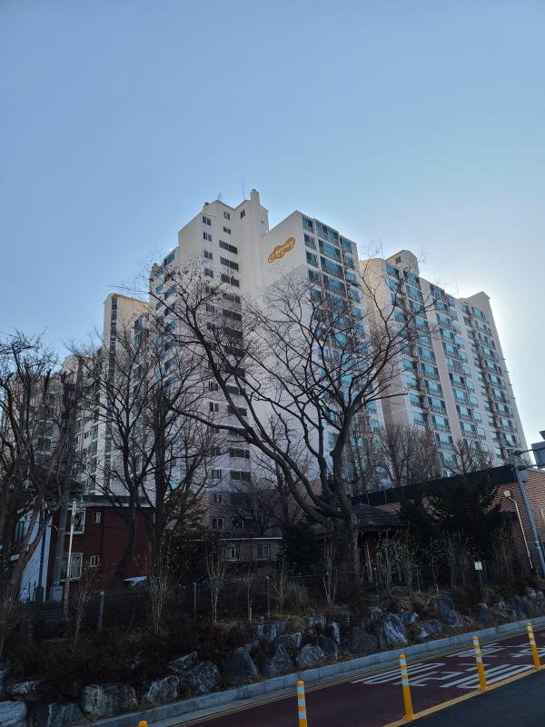 컨텐츠파일