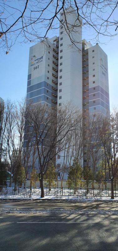 말티푸