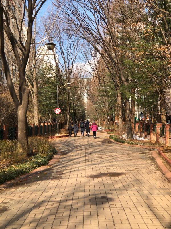 컨텐츠파일
