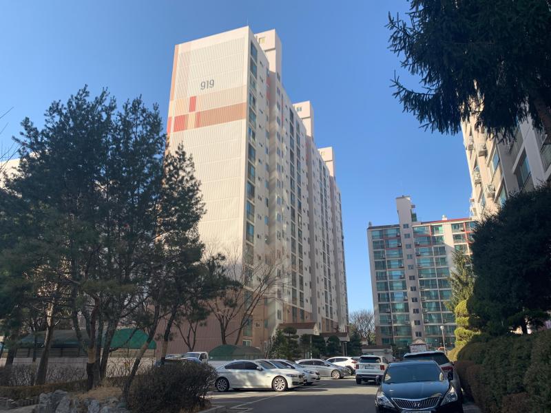 파워캣
