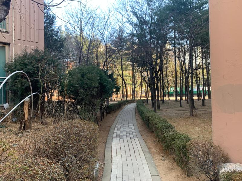 컨텐츠파일