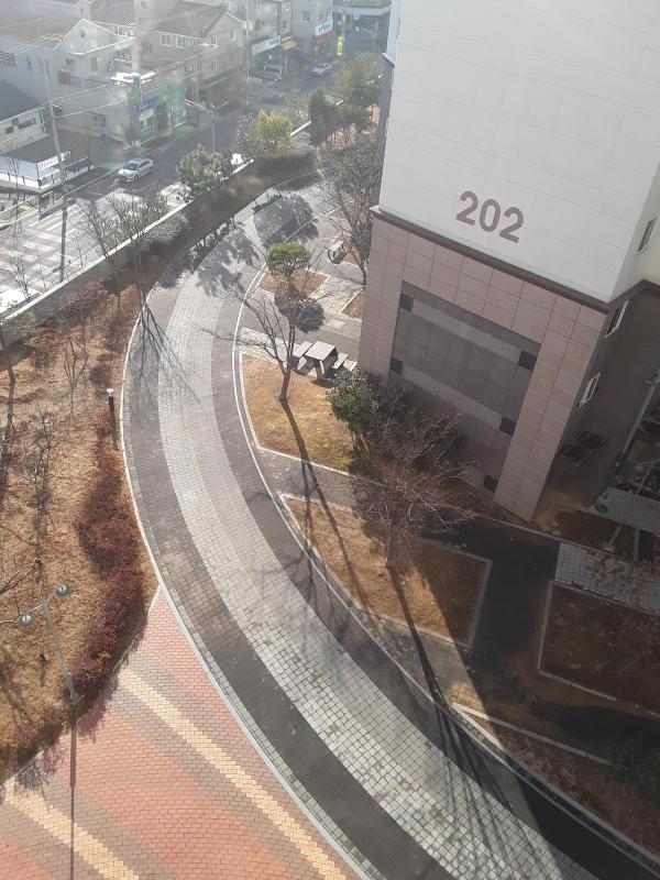 문24랑