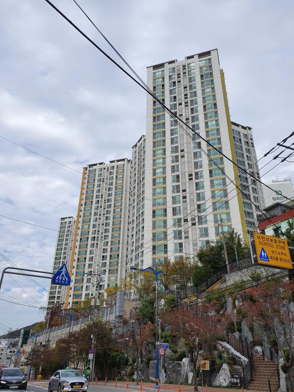 돌고래씌