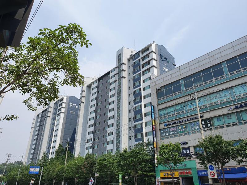 돌고래씌
