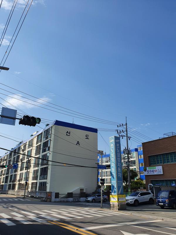 돌고래씌