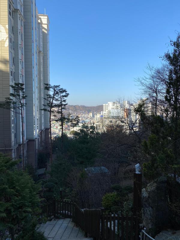 리치키키