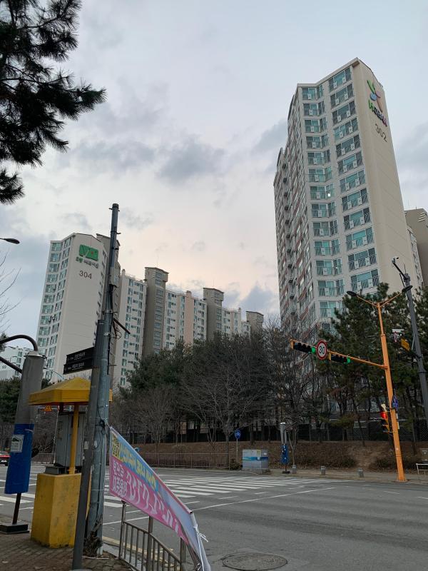 준준파파