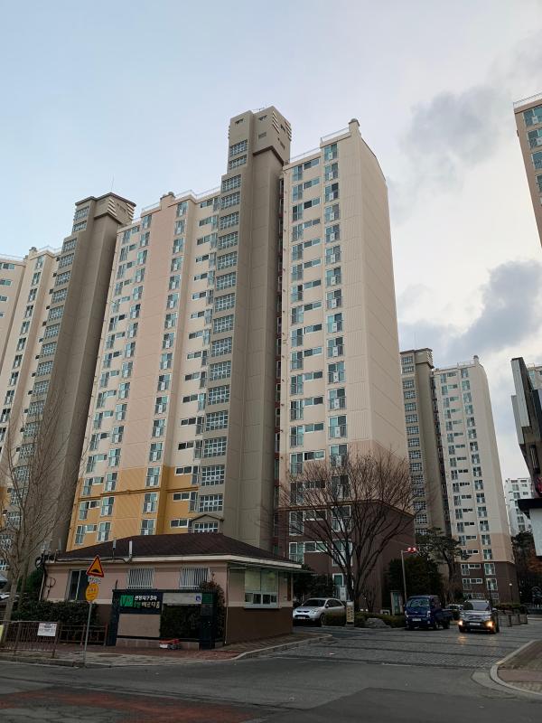 준준파파