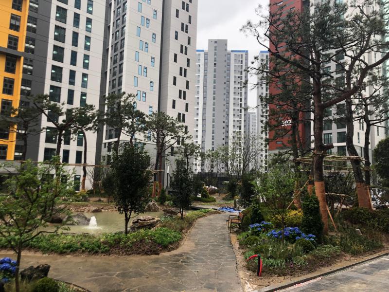 컨텐츠파일
