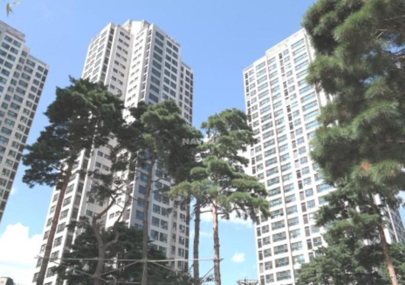 눈이부시게