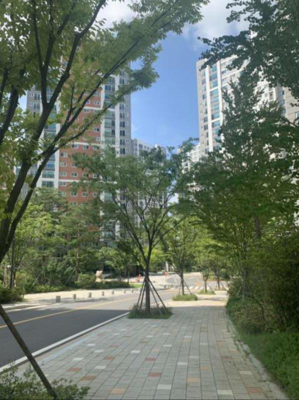 컨텐츠파일