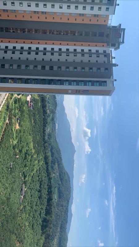 컨텐츠파일