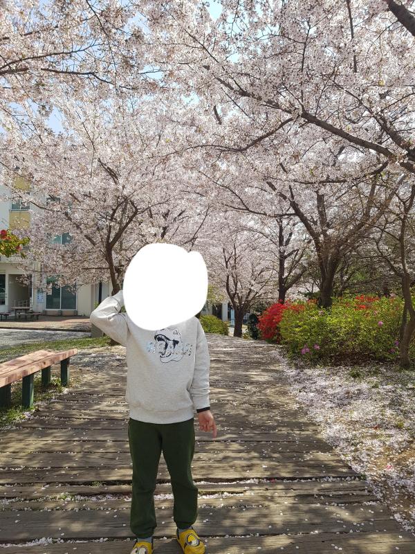 컨텐츠파일