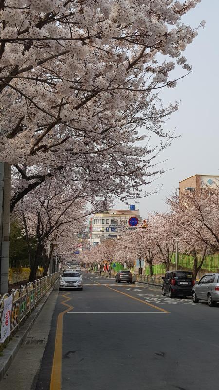 컨텐츠파일