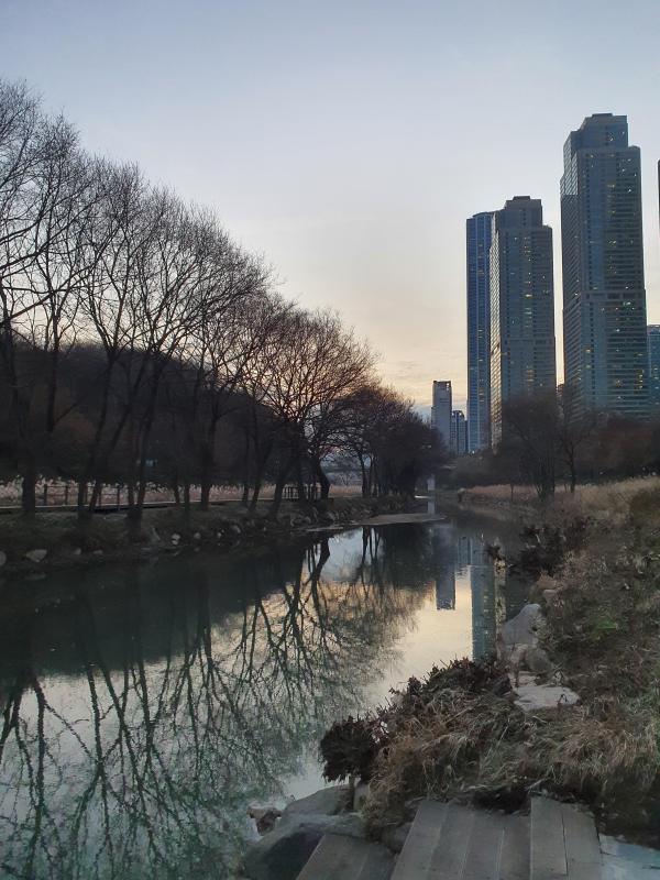 컨텐츠파일