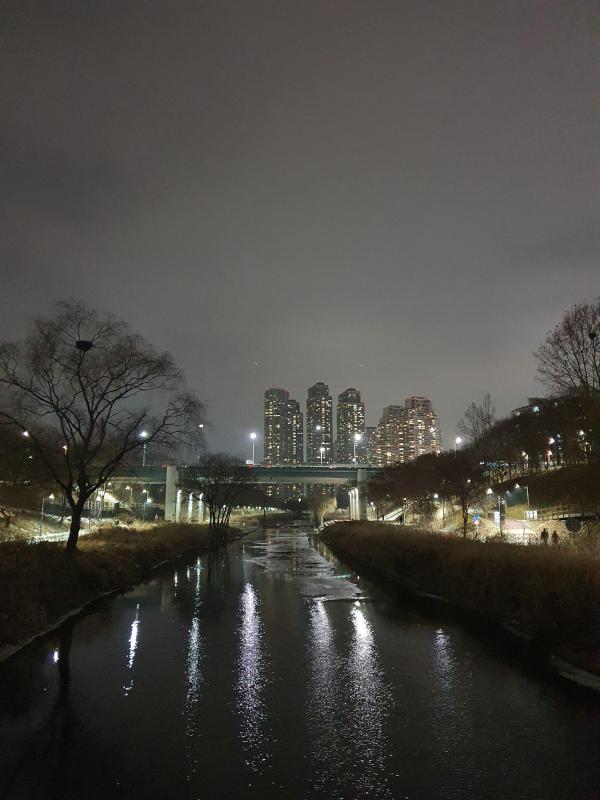 컨텐츠파일