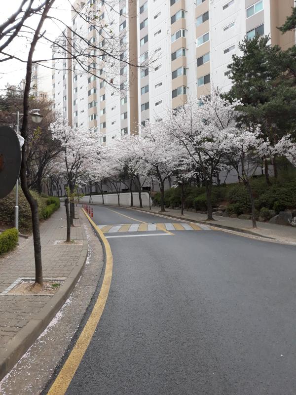 마드