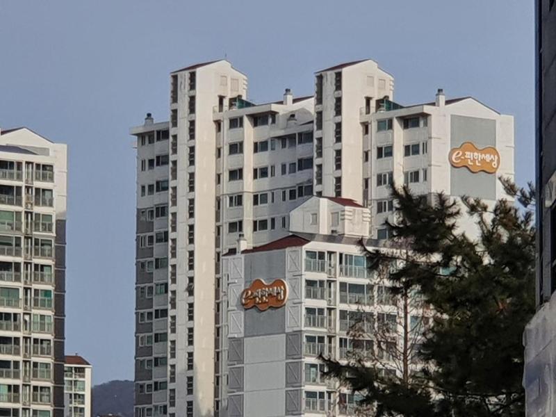 컨텐츠파일