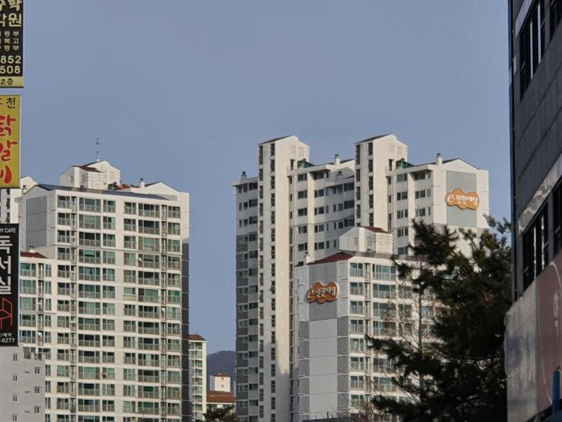 안나찐