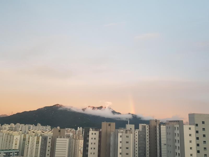 짱폴리