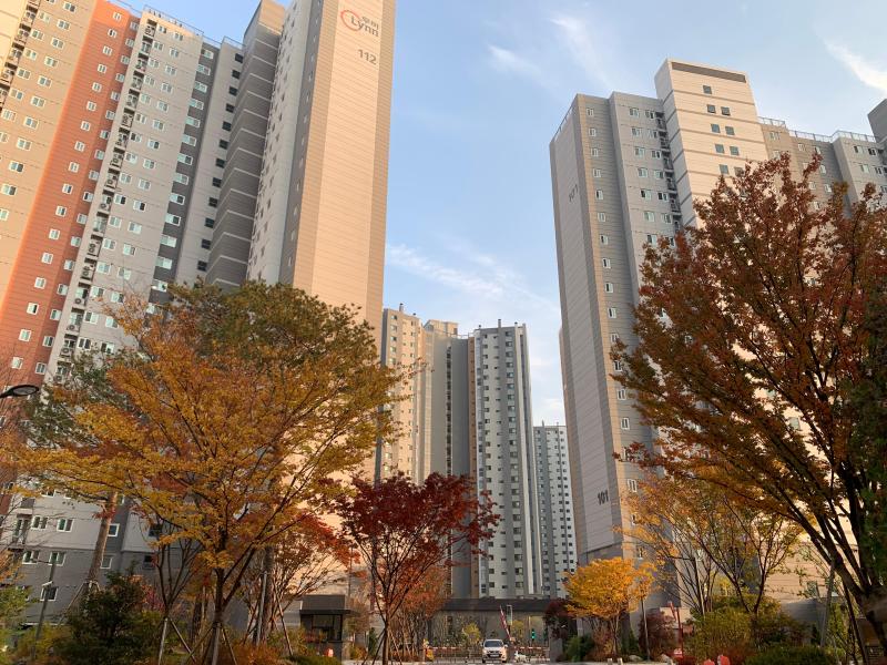 보름달