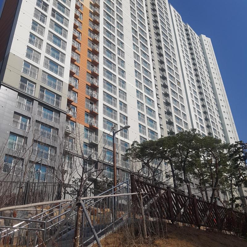 자취천사