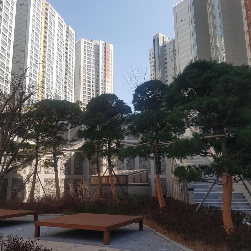 컨텐츠파일