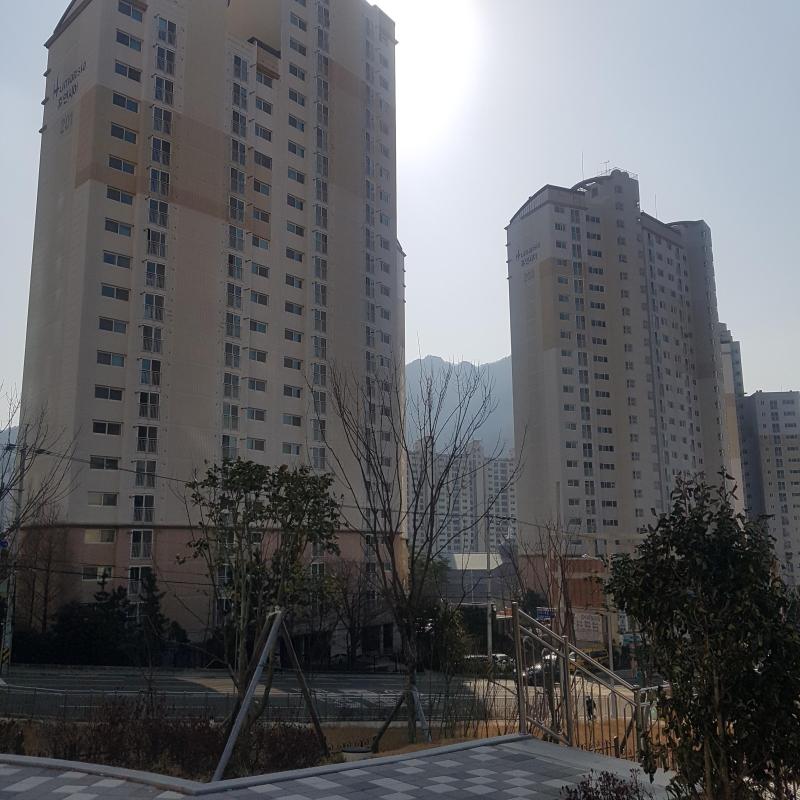 우물정