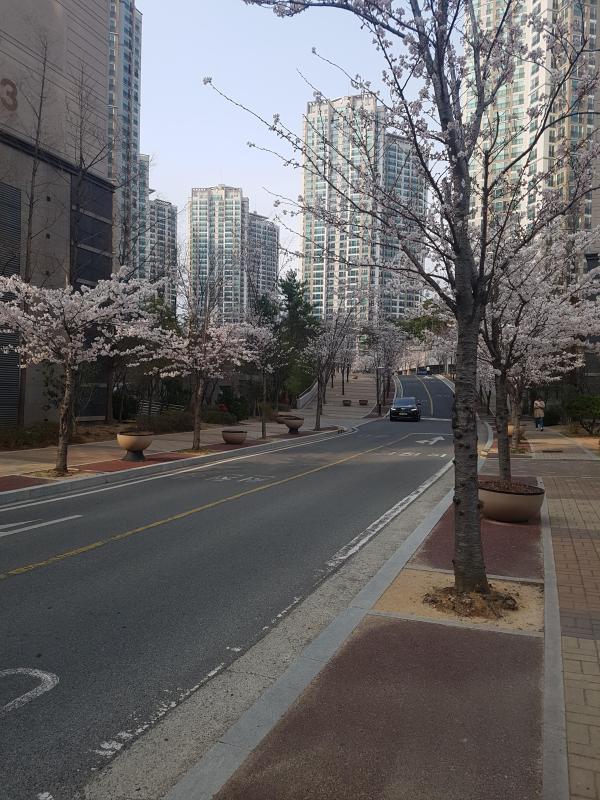 빨리와줘용