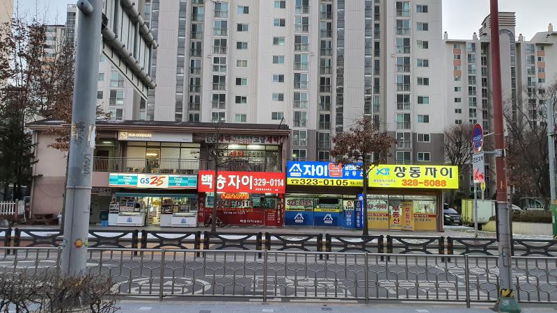 동애