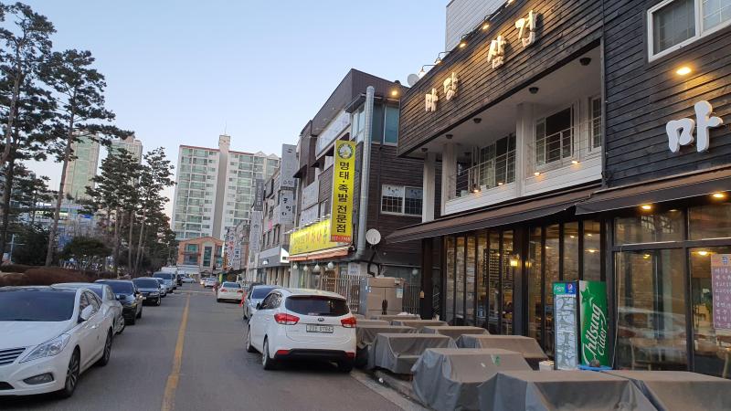 동애