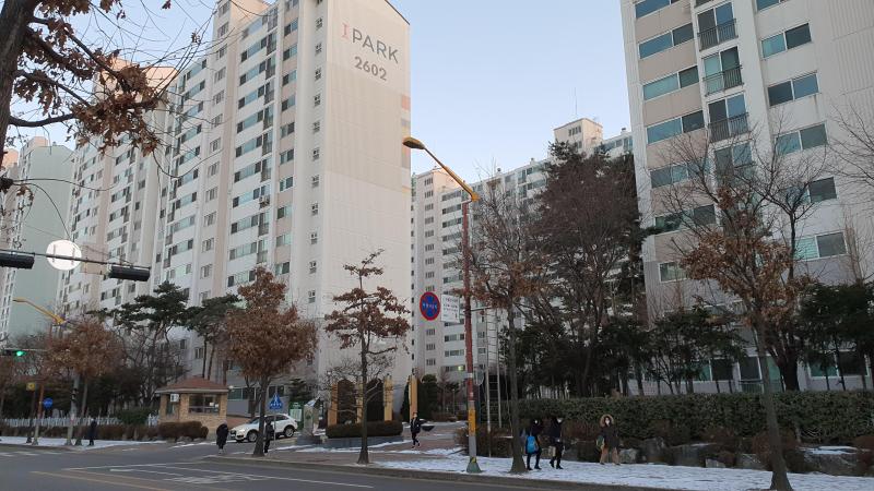 동애