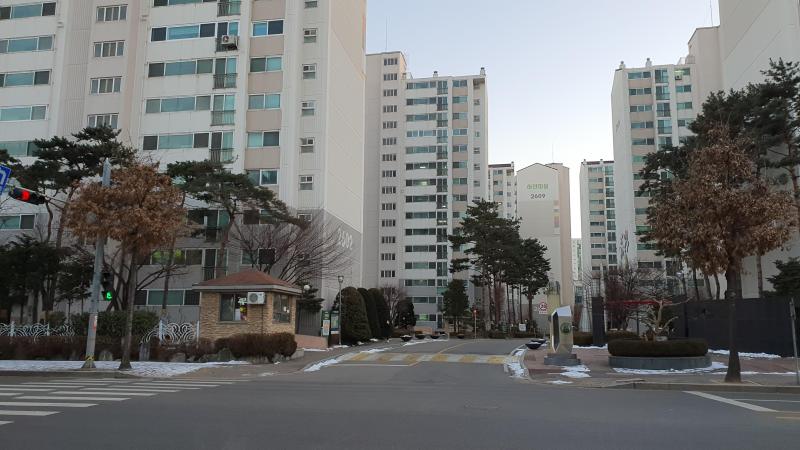 동애
