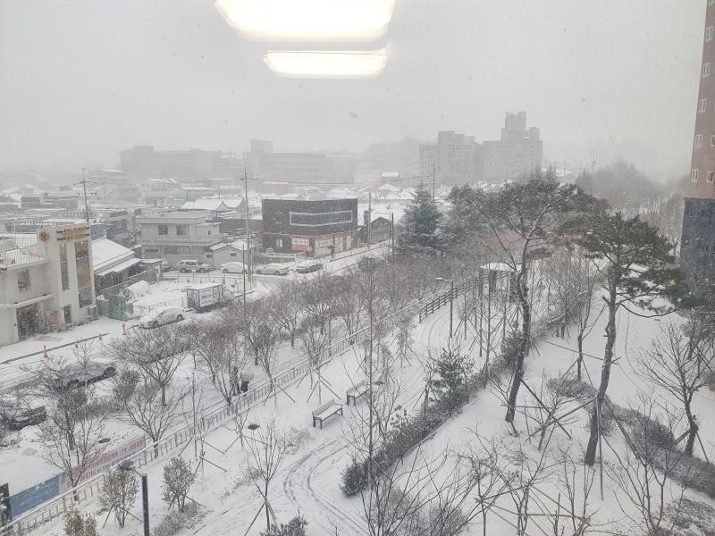루시드폴