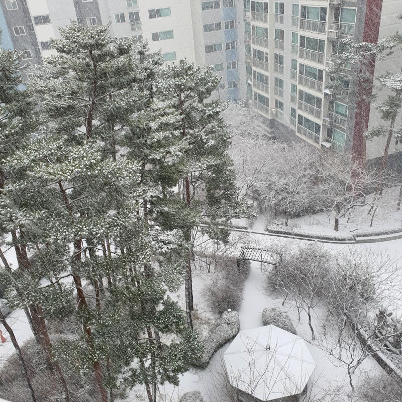 투캅스 