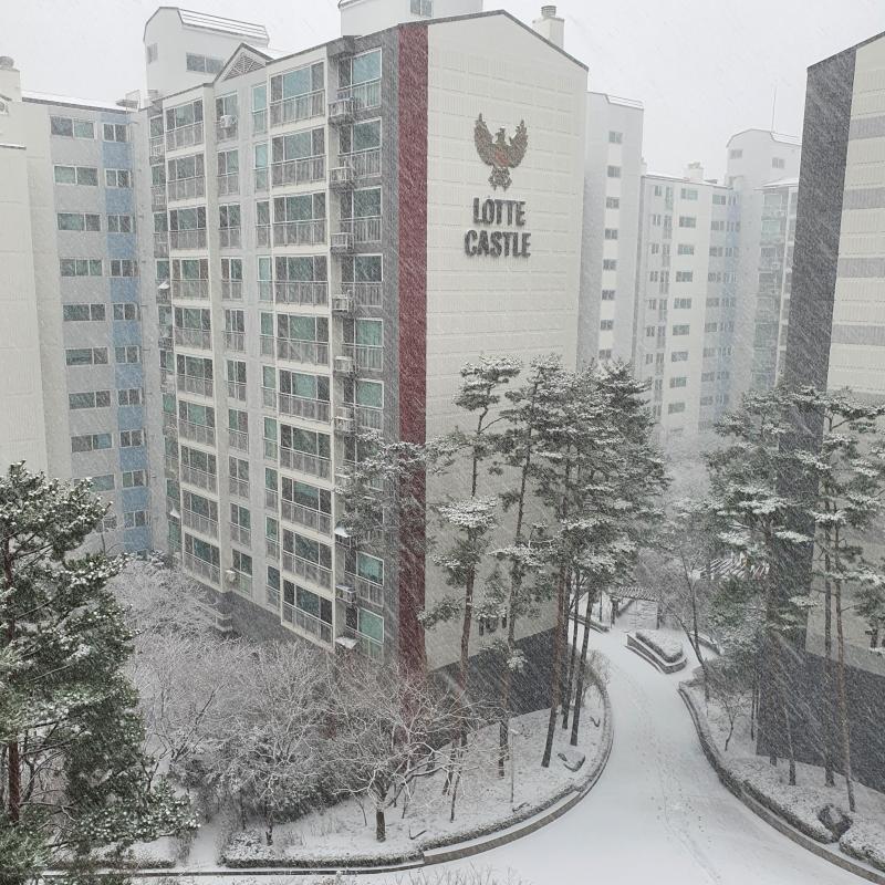 투캅스 