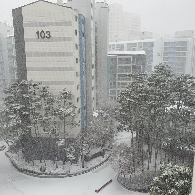 투캅스 
