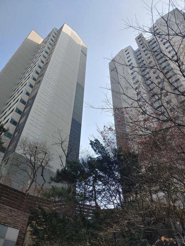에이스