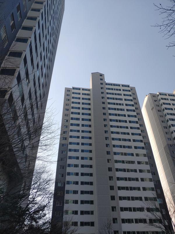 컨텐츠파일