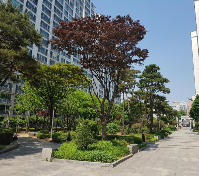 헤헤