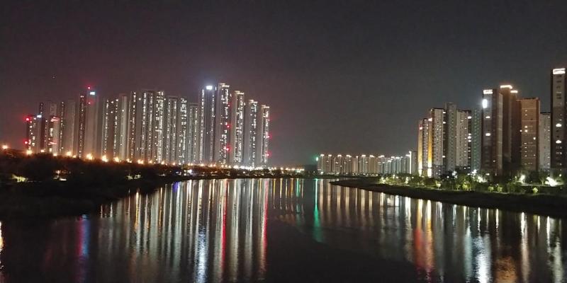 해바라기 