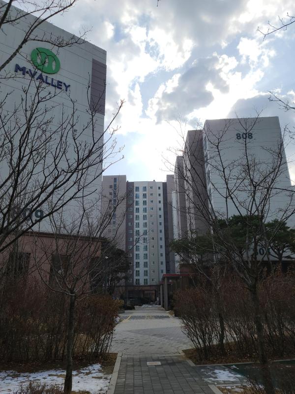 라떼는마리지