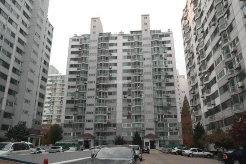 컨텐츠파일